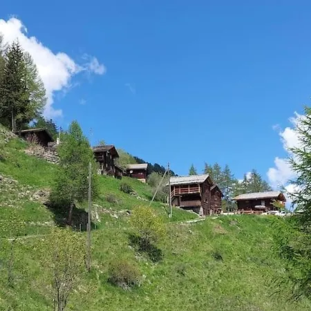 Swiss With Panorama